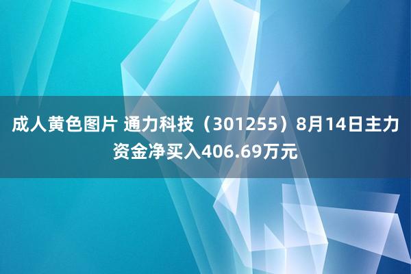 成人黄色图片 通力科技（301255）8月14日主力资金净买入406.69万元