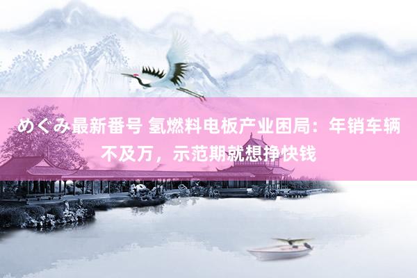 めぐみ最新番号 氢燃料电板产业困局：年销车辆不及万，示范期就想挣快钱