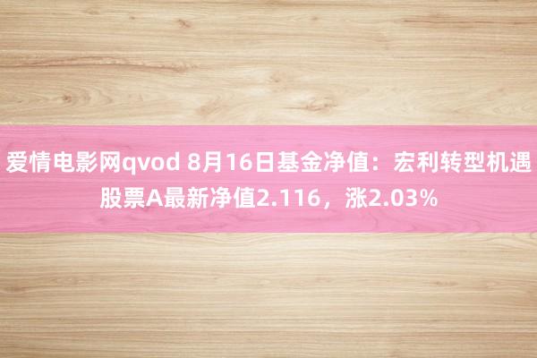 爱情电影网qvod 8月16日基金净值：宏利转型机遇股票A最新净值2.116，涨2.03%