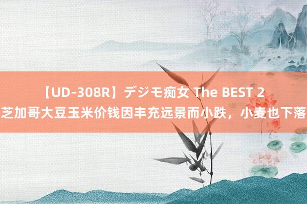 【UD-308R】デジモ痴女 The BEST 2 芝加哥大豆玉米价钱因丰充远景而小跌，小麦也下落