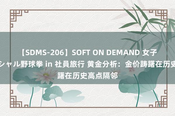 【SDMS-206】SOFT ON DEMAND 女子社員スペシャル野球拳 in 社員旅行 黄金分析：金价踌躇在历史高点隔邻