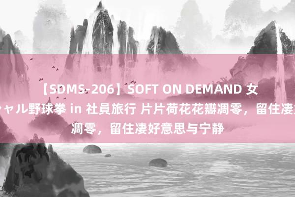 【SDMS-206】SOFT ON DEMAND 女子社員スペシャル野球拳 in 社員旅行 片片荷花花瓣凋零，留住凄好意思与宁静