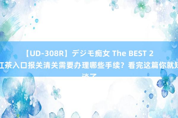 【UD-308R】デジモ痴女 The BEST 2 泰国红茶入口报关清关需要办理哪些手续？看完这篇你就知谈了