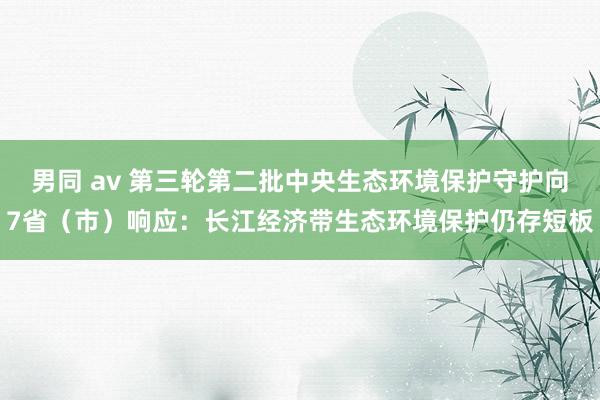 男同 av 第三轮第二批中央生态环境保护守护向7省（市）响应：长江经济带生态环境保护仍存短板