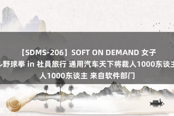 【SDMS-206】SOFT ON DEMAND 女子社員スペシャル野球拳 in 社員旅行 通用汽车天下将裁人1000东谈主 来自软件部门