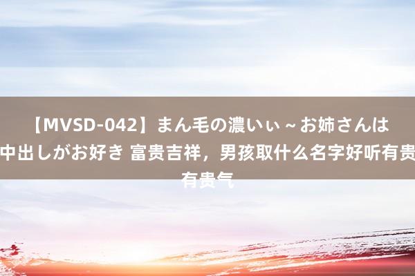 【MVSD-042】まん毛の濃いぃ～お姉さんは生中出しがお好き 富贵吉祥，男孩取什么名字好听有贵气