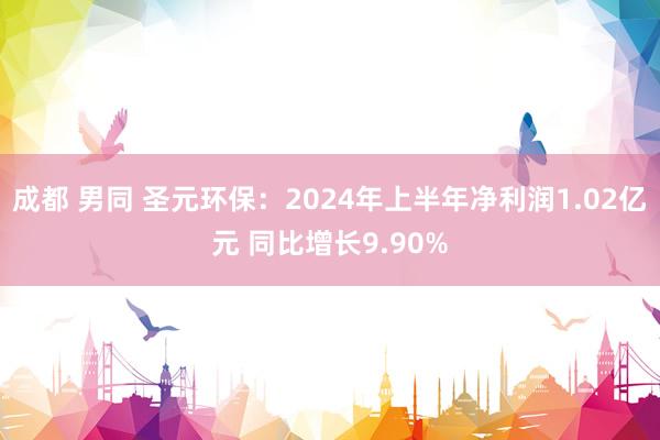 成都 男同 圣元环保：2024年上半年净利润1.02亿元 同比增长9.90%