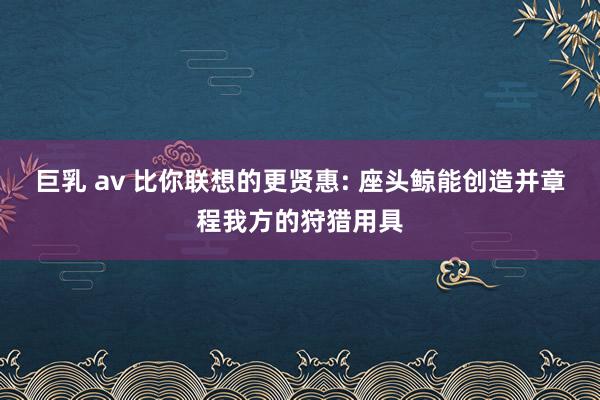 巨乳 av 比你联想的更贤惠: 座头鲸能创造并章程我方的狩猎用具