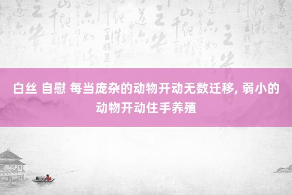 白丝 自慰 每当庞杂的动物开动无数迁移, 弱小的动物开动住手养殖