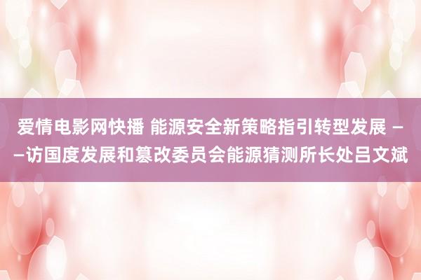 爱情电影网快播 能源安全新策略指引转型发展 ——访国度发展和篡改委员会能源猜测所长处吕文斌