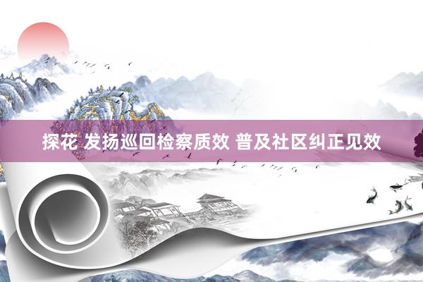 探花 发扬巡回检察质效 普及社区纠正见效