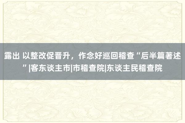 露出 以整改促晋升，作念好巡回稽查“后半篇著述”|客东谈主市|市稽查院|东谈主民稽查院