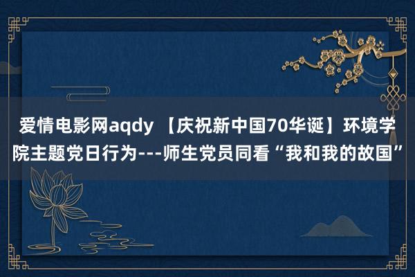 爱情电影网aqdy 【庆祝新中国70华诞】环境学院主题党日行为---师生党员同看“我和我的故国”