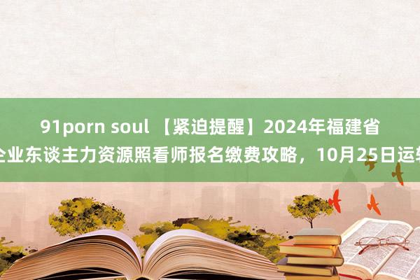 91porn soul 【紧迫提醒】2024年福建省企业东谈主力资源照看师报名缴费攻略，10月25日运转