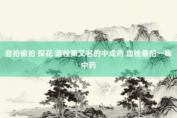 自拍偷拍 探花 溶栓第又名的中成药 血栓最怕一味中药